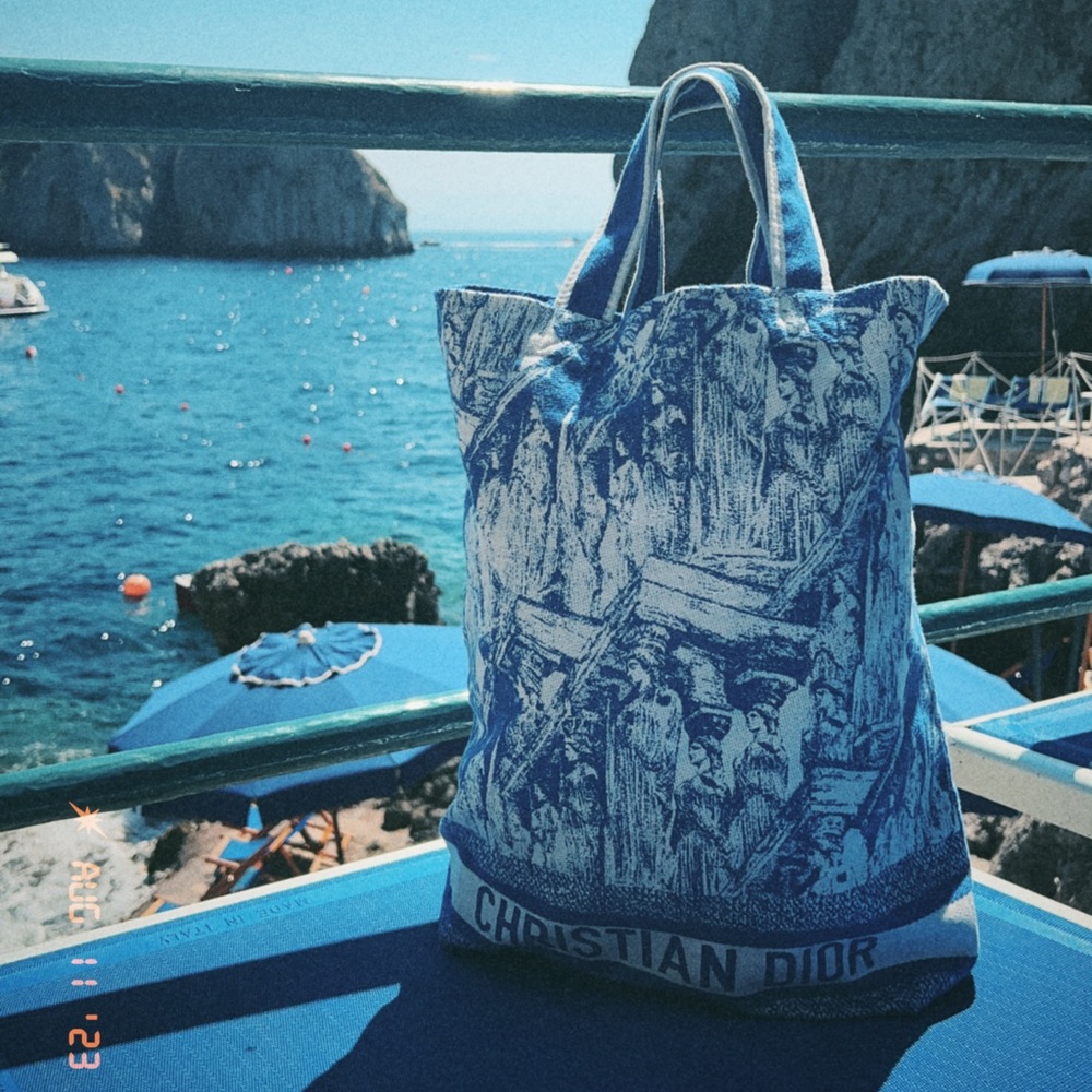 Christian Dior fabric tote